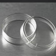 60mm dishes