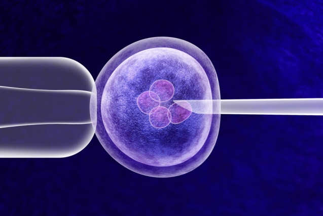 IVF